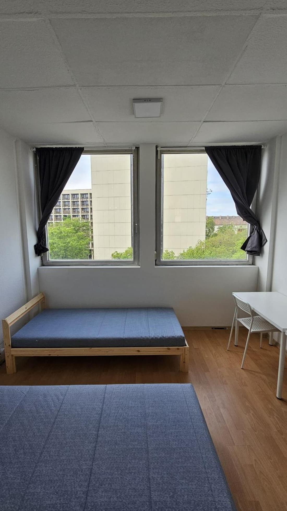 Hamilton Hostel