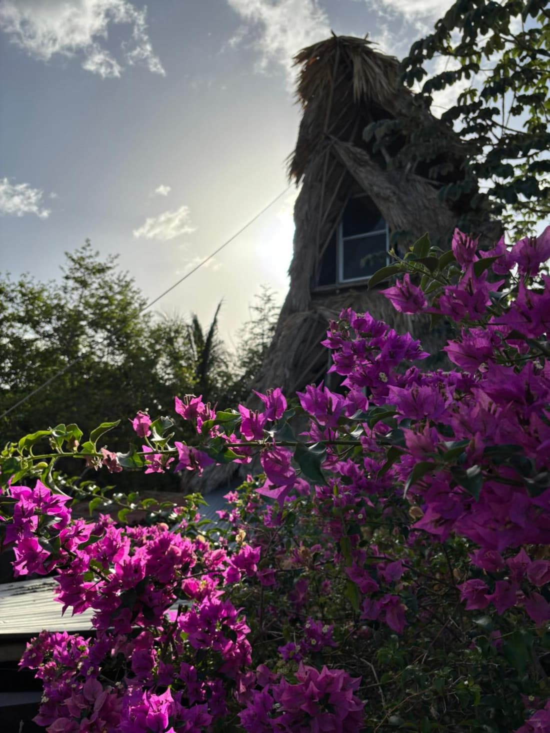 Jungla Bacalar