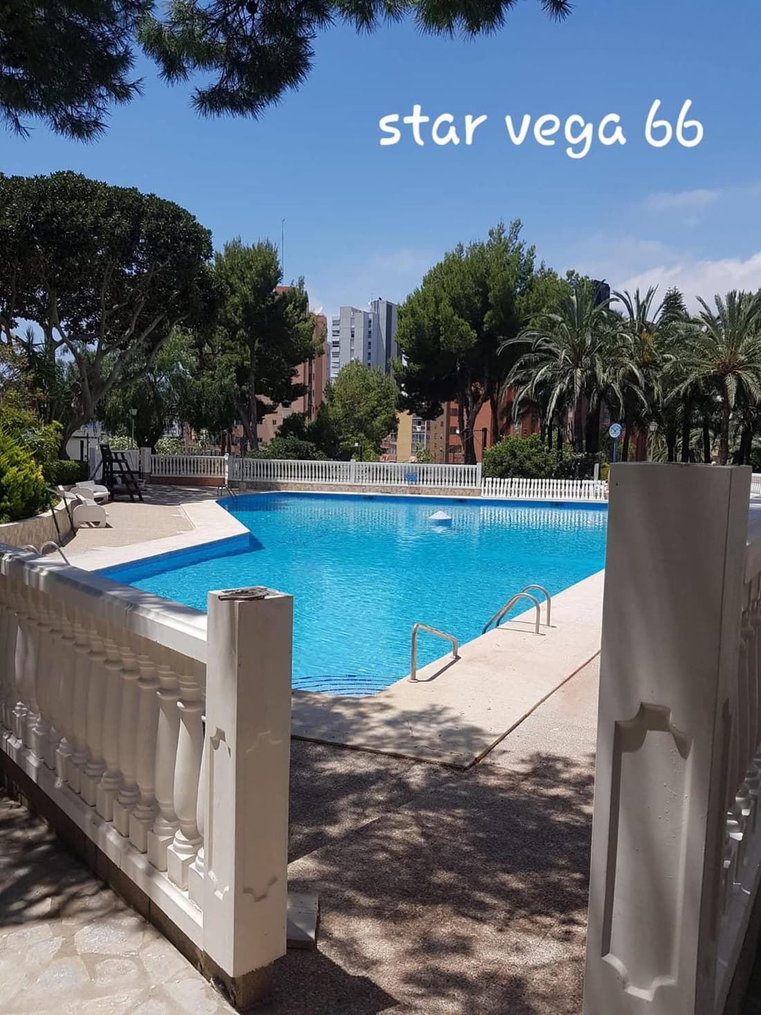 Star Vega 66