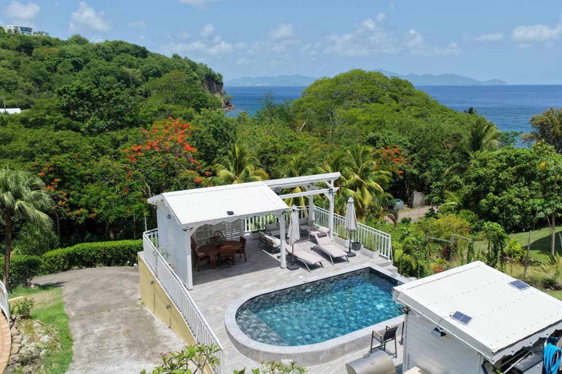 Tropical Indies Dream