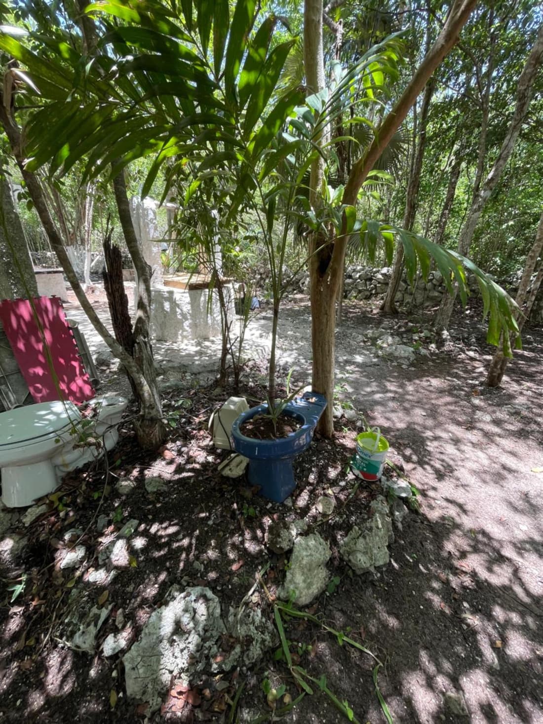 Home's Jungle