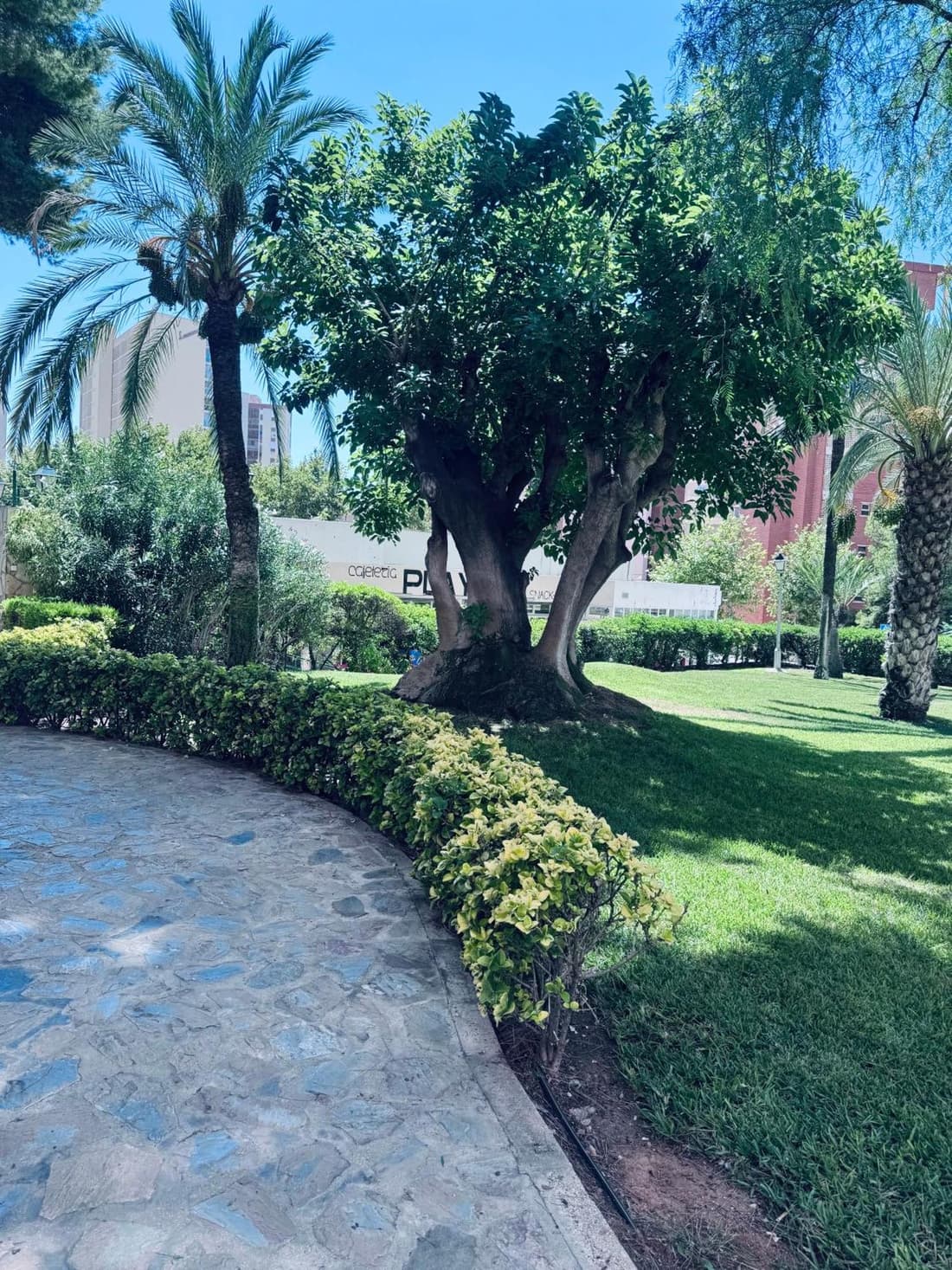 Araya Apartments