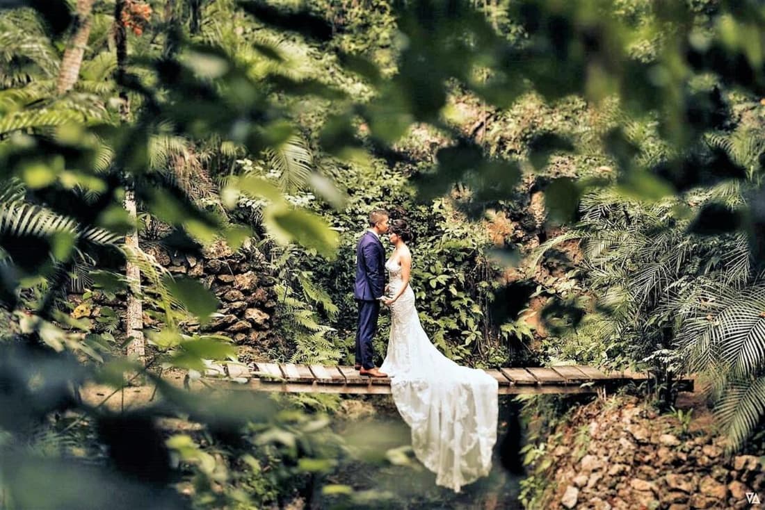 Sweet Jungle Dreams - Exclusive Treehouse and Cenote