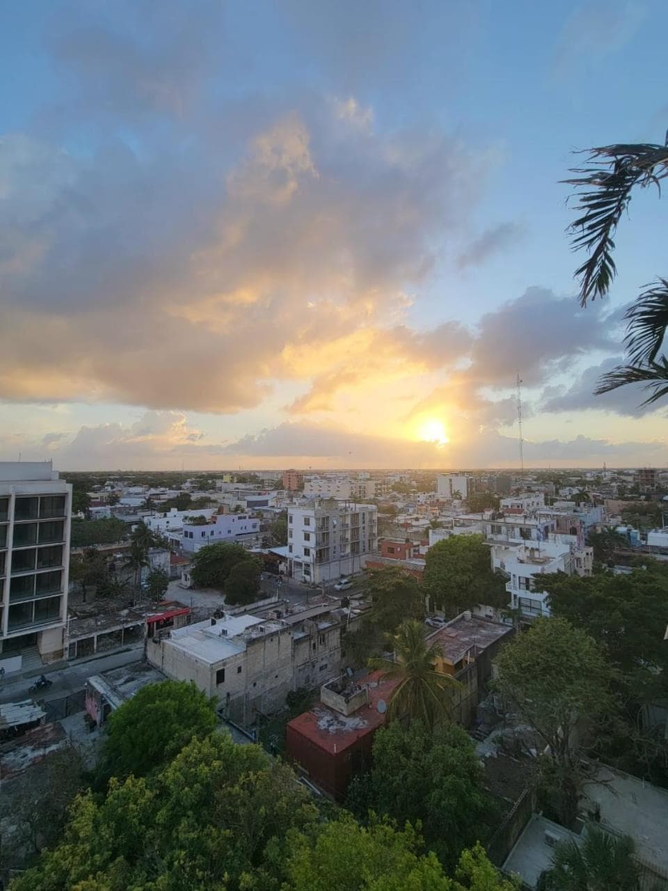 Live Playa Beach, Luxury & 5th Av at your doorstep