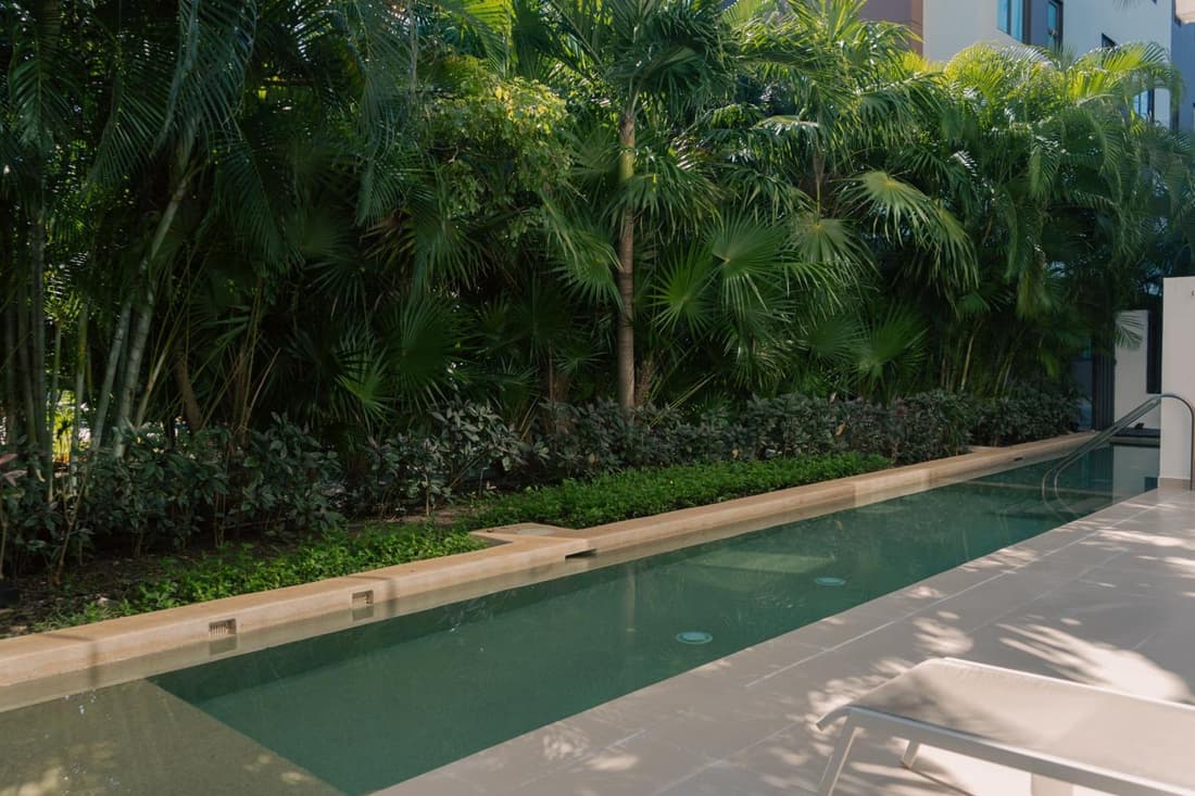 Bright 2BR Apartment with Terrace & Pool, Lorena Ochoa Residences