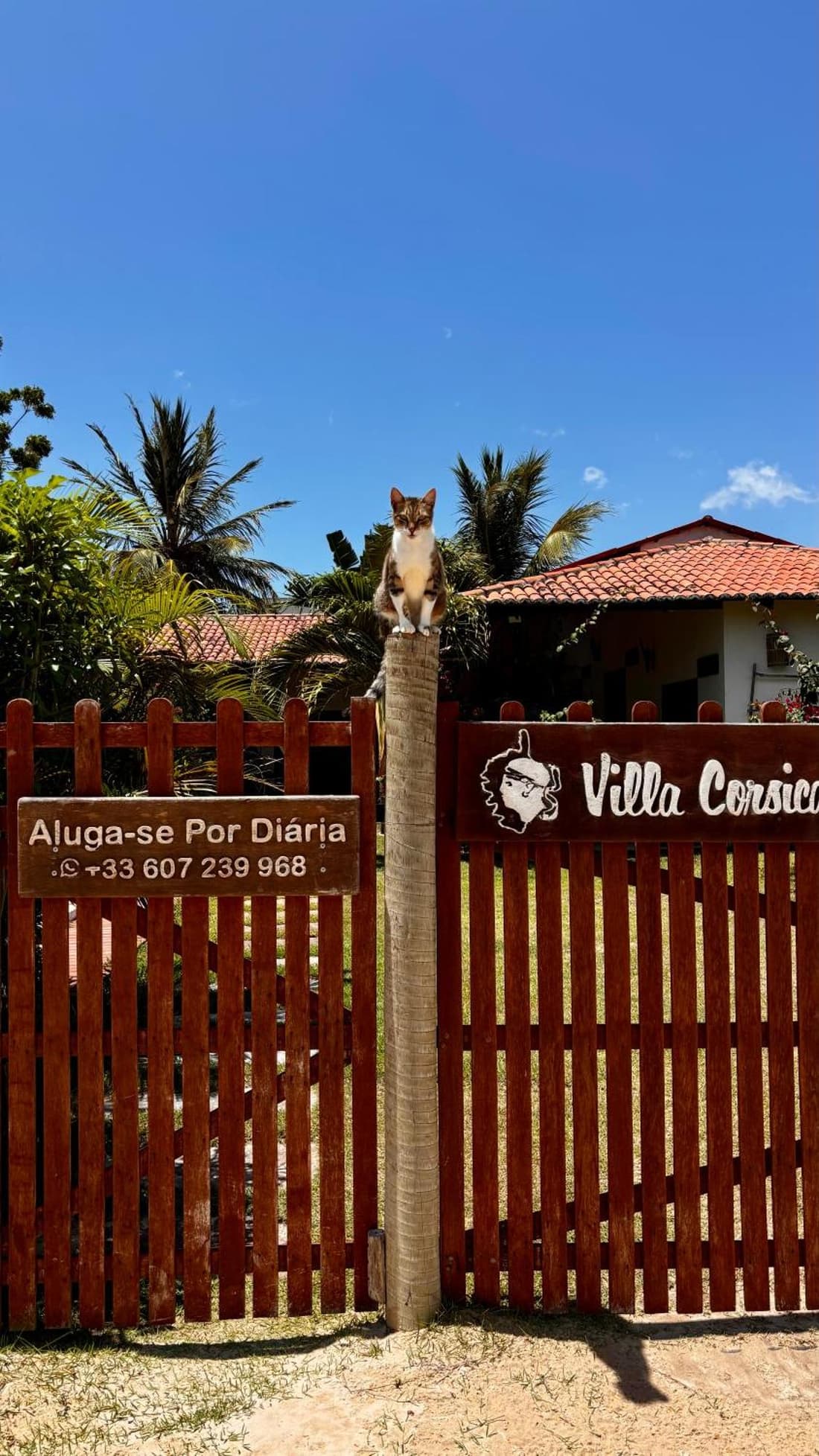 Villa Corsica