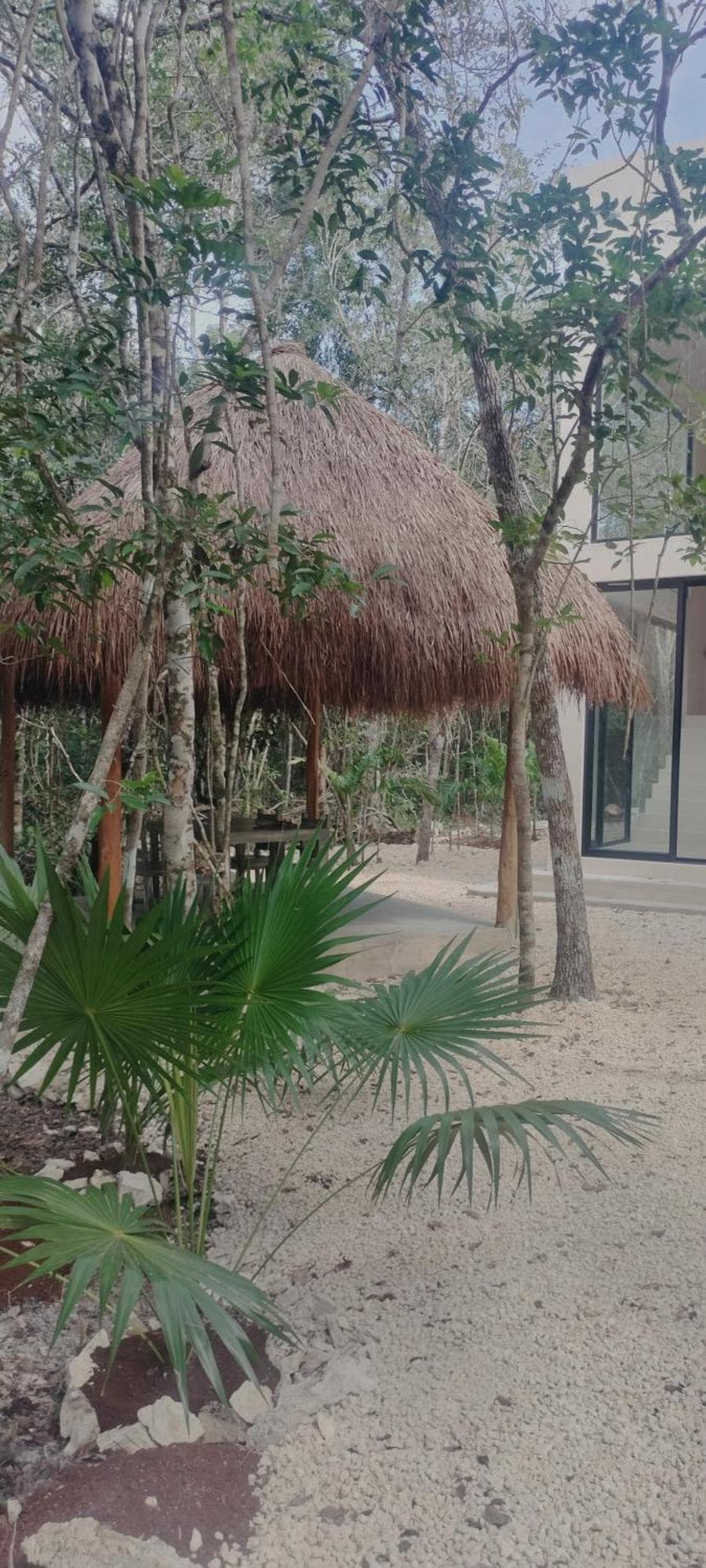 Casabel Tulum jungle experience