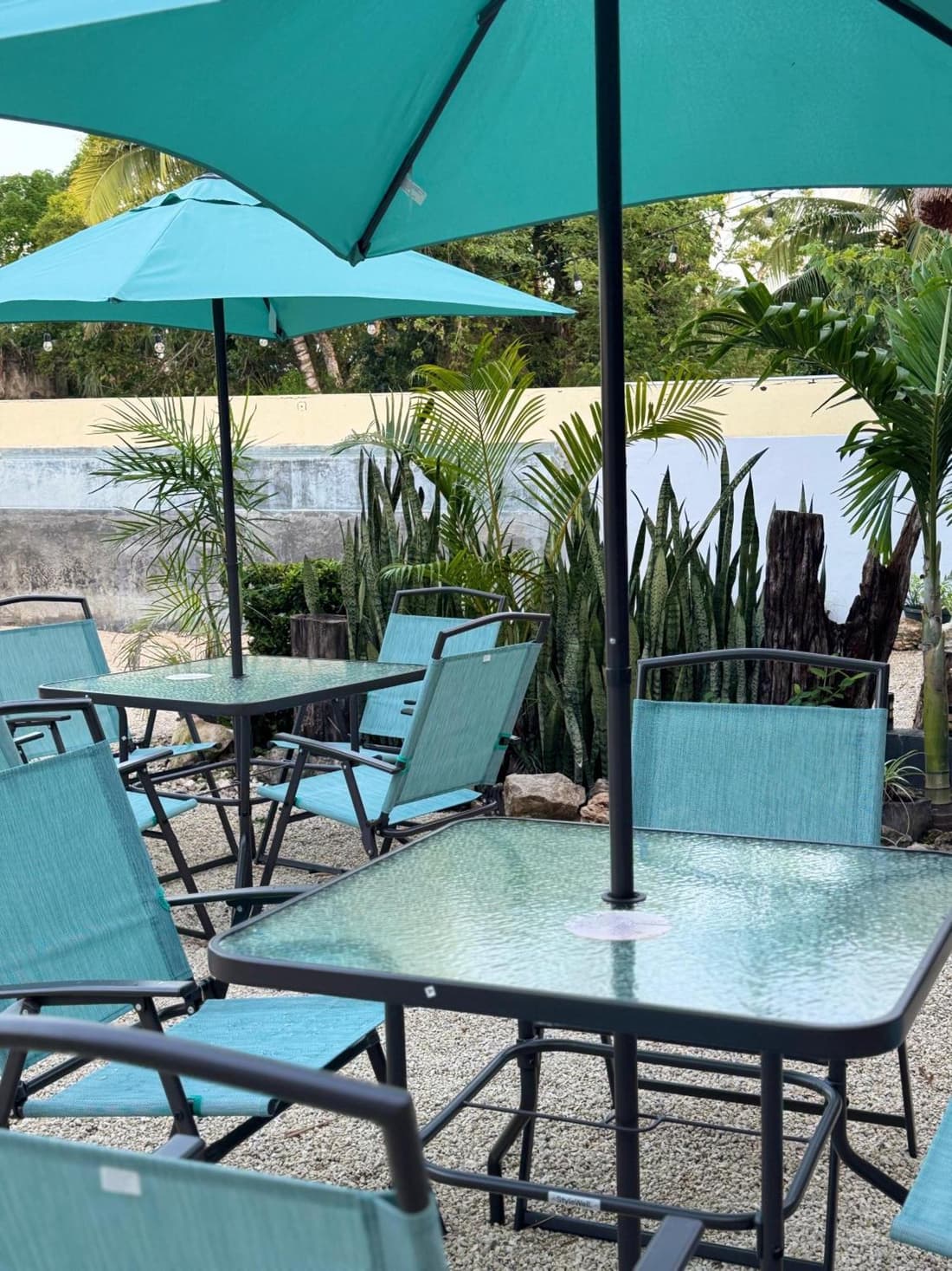 Hotel Mirador--gratis bicicletas