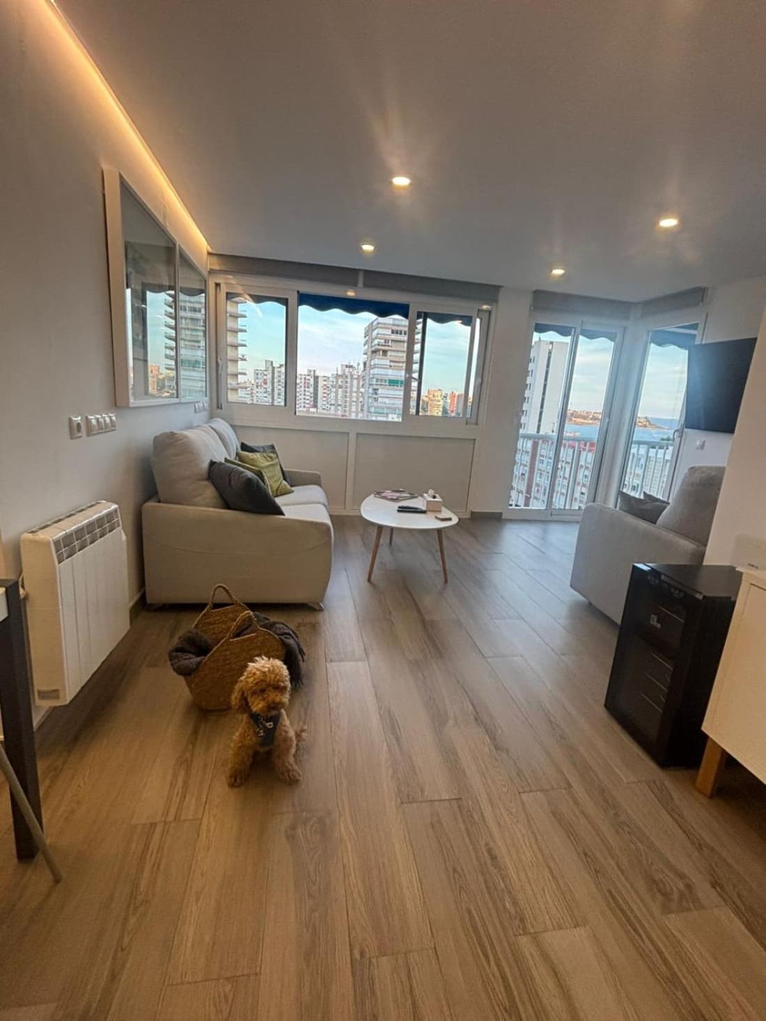 The luxury suite