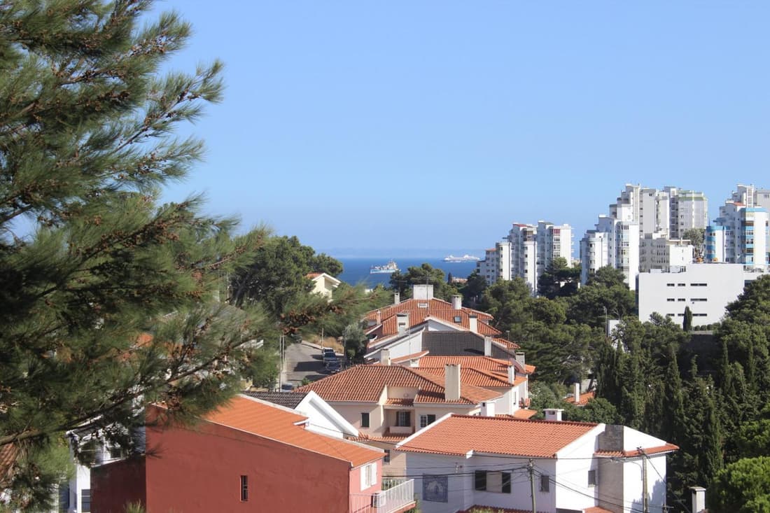 Cascais Jasmim Doce