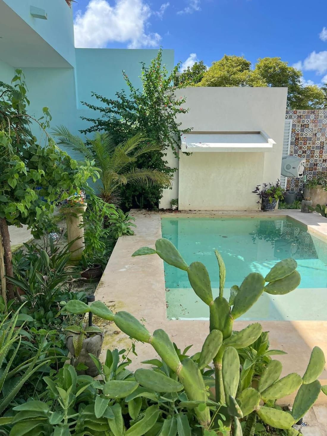 El Oasis