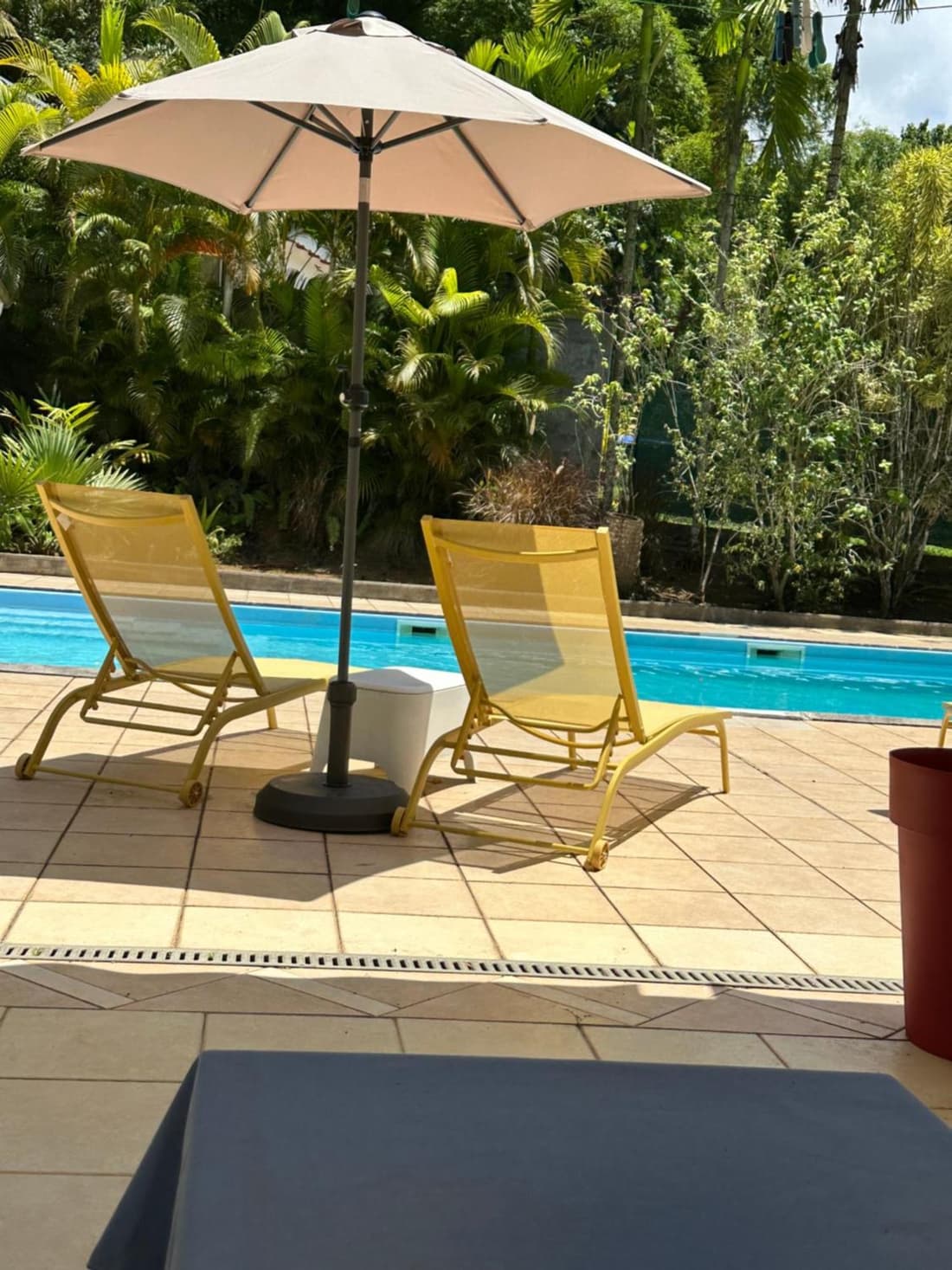 Le ptit paradis créole