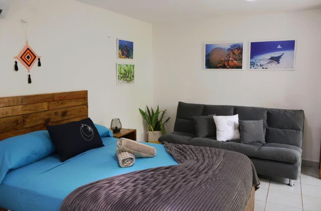 Comfy studio Yaxkin on downtown, 3 block away from sea and sunsets