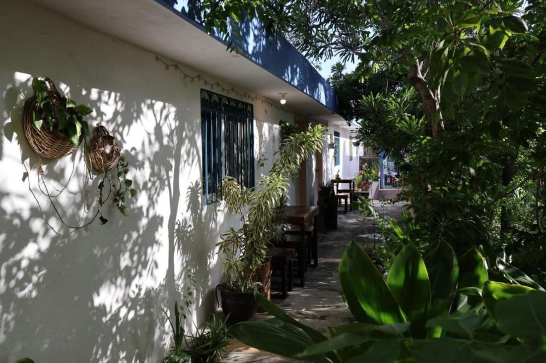 Comfy studio Yaxkin on downtown, 3 block away from sea and sunsets