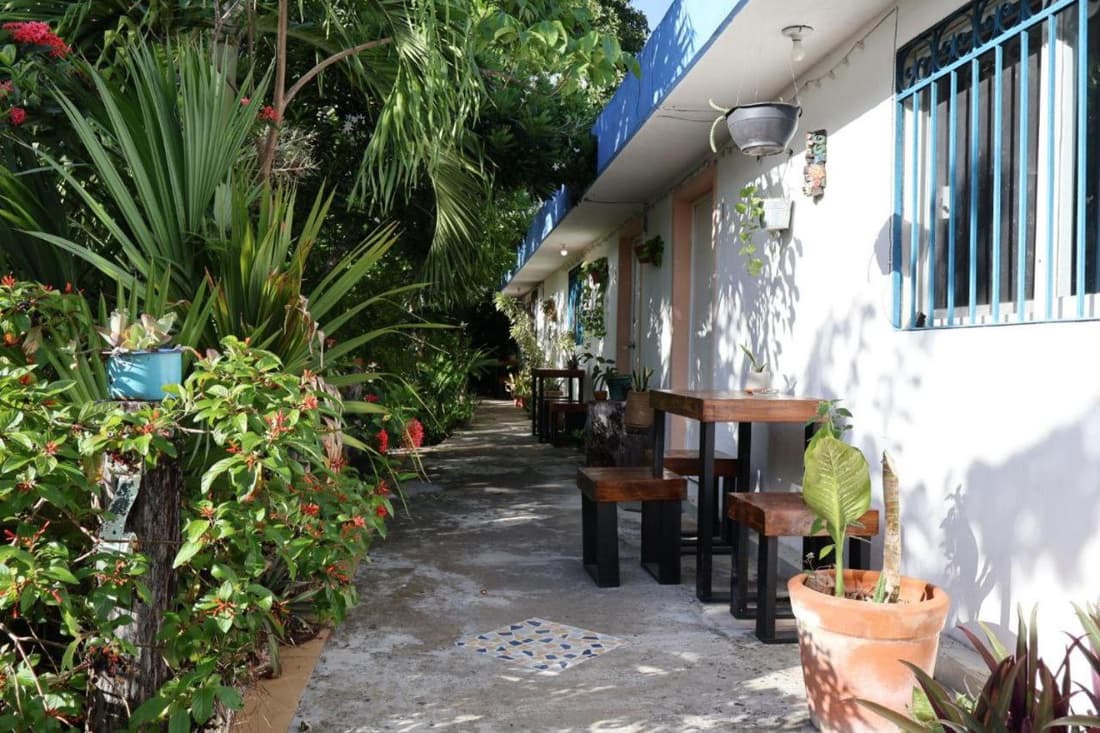 Comfy studio Yaxkin on downtown, 3 block away from sea and sunsets