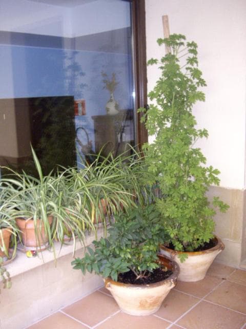 Casa Rural Rojanda