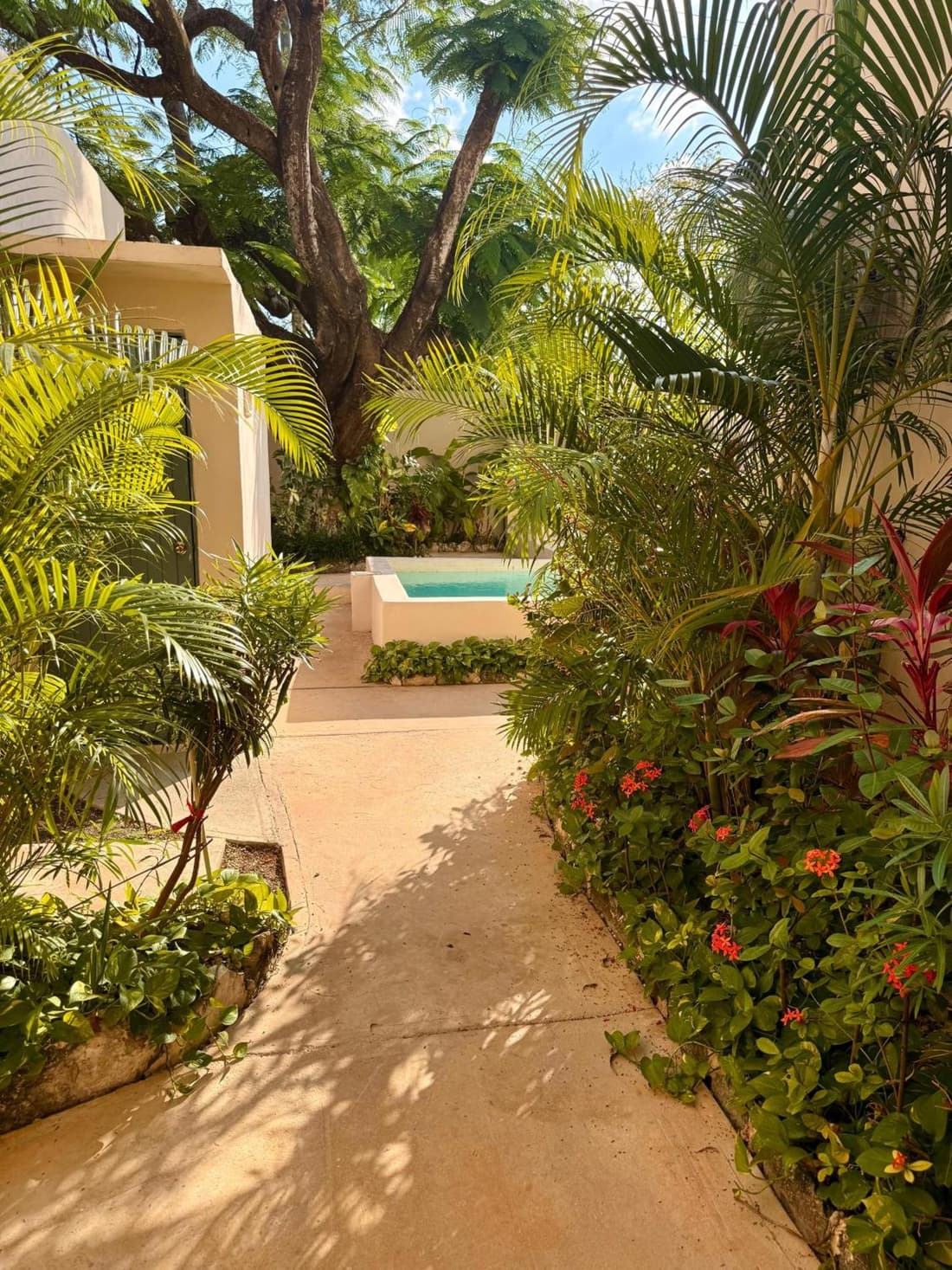 Acogedor estudio con piscina