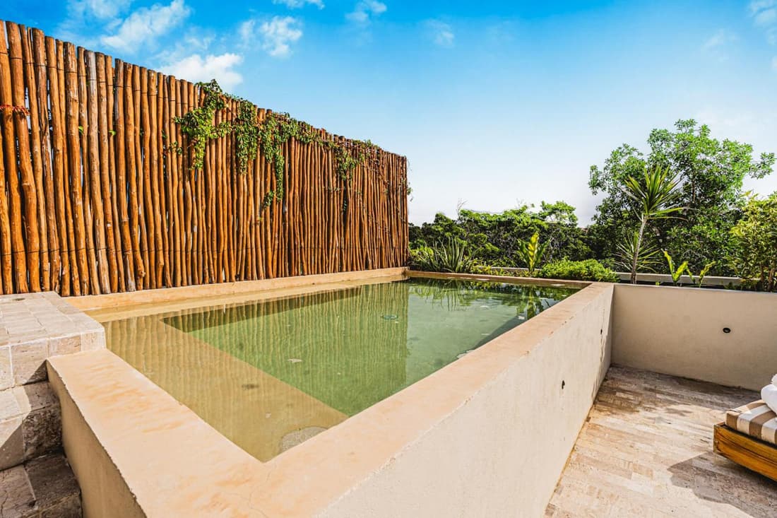 Jungle Penthouse w Sunset Rooftop Private Pool