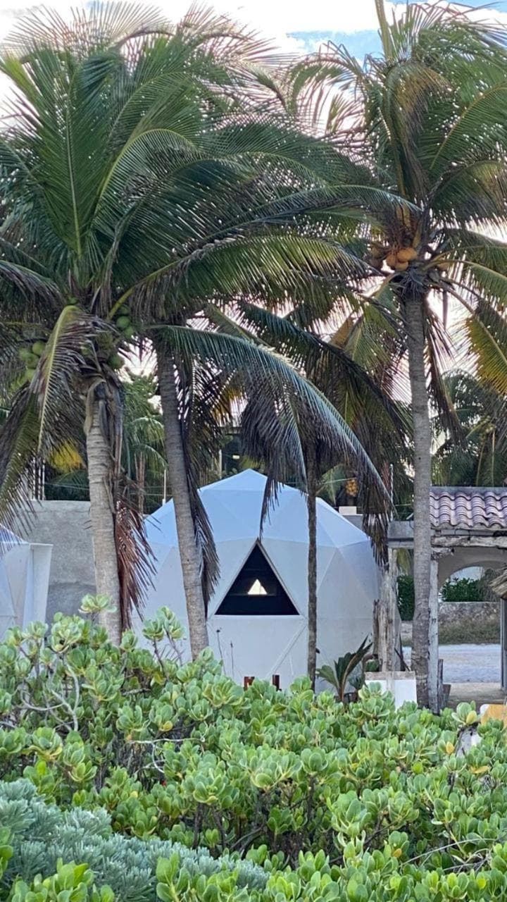 Frequency Beachfront Domes El Cuyo