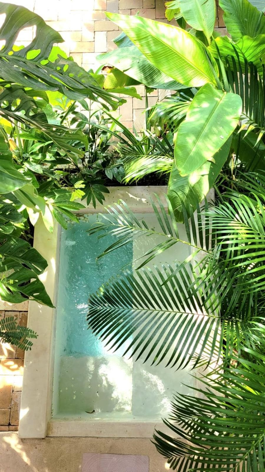YAM HOTEL