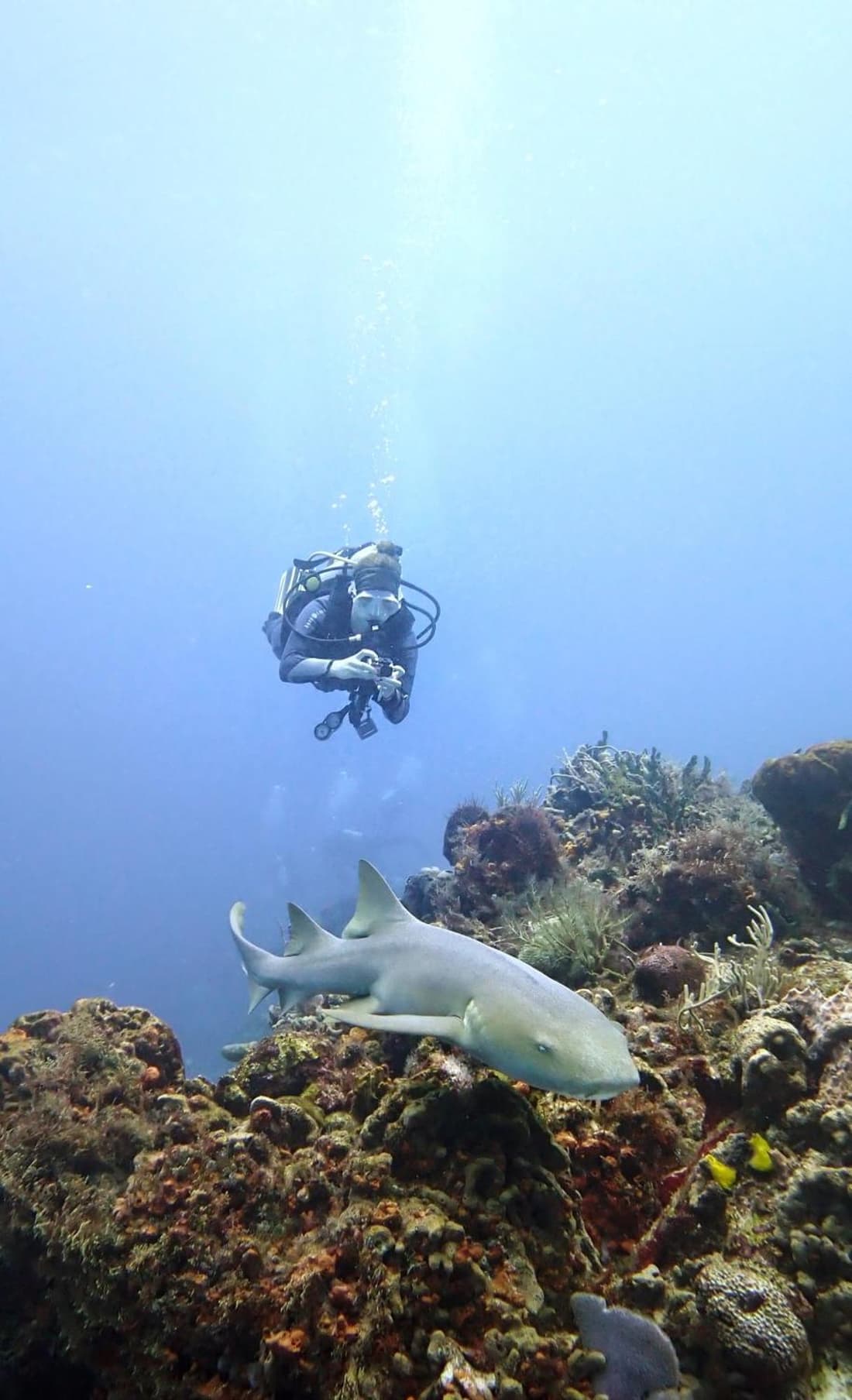 Mi Refugio Dive House