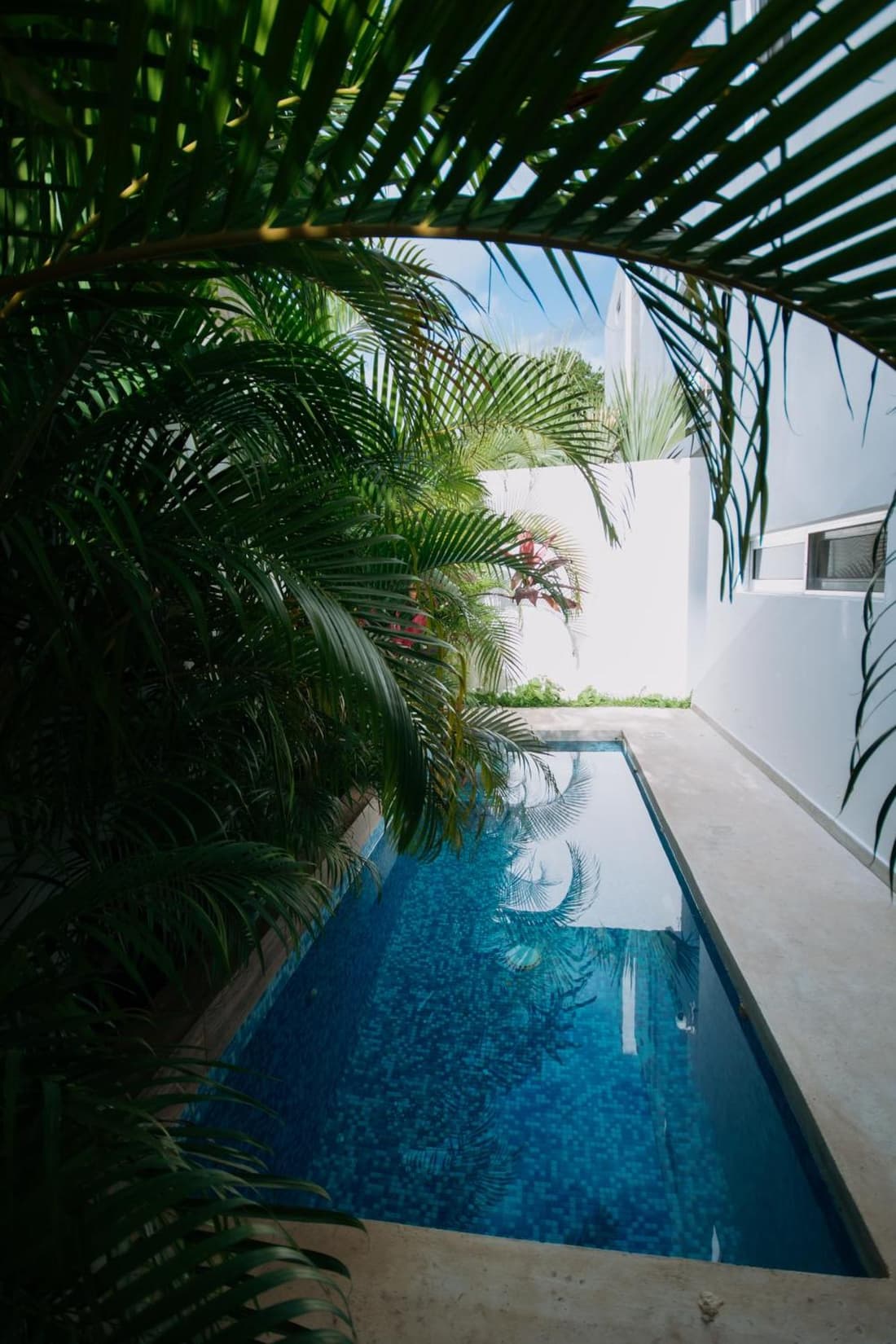 Casa amplia con Alberca y Roof Garden
