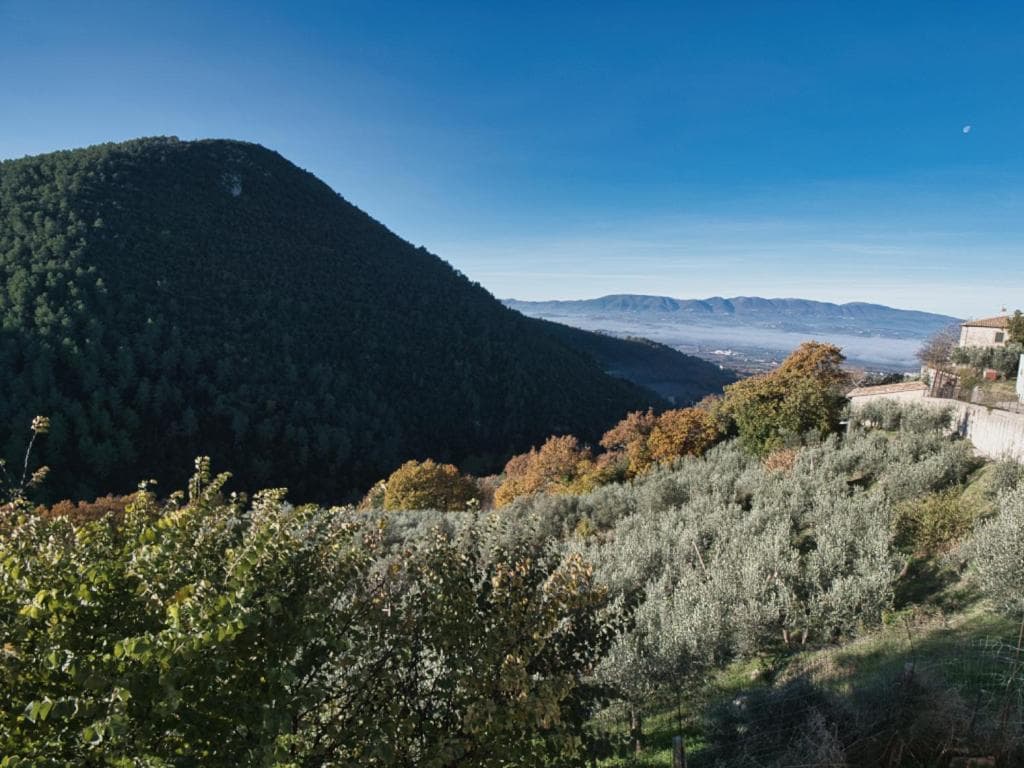 B&B Manca1Fiorino