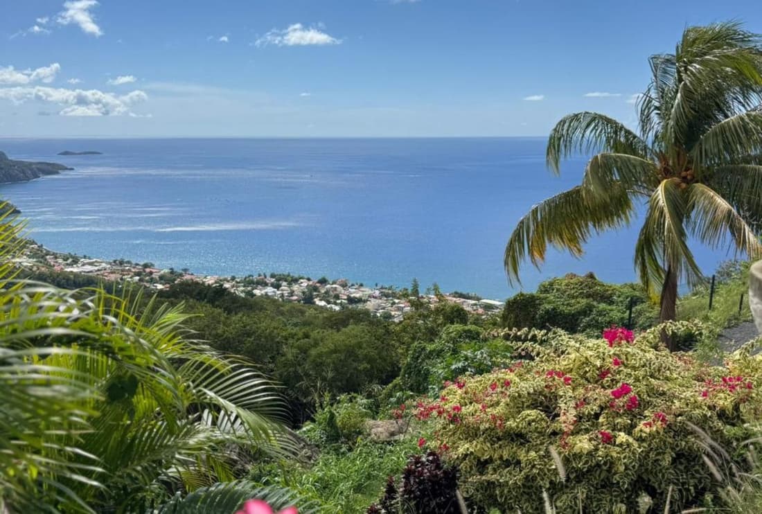 Bas de Villa Tropical Soul