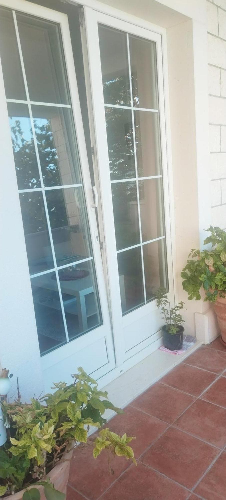 Guesthouse Alliya