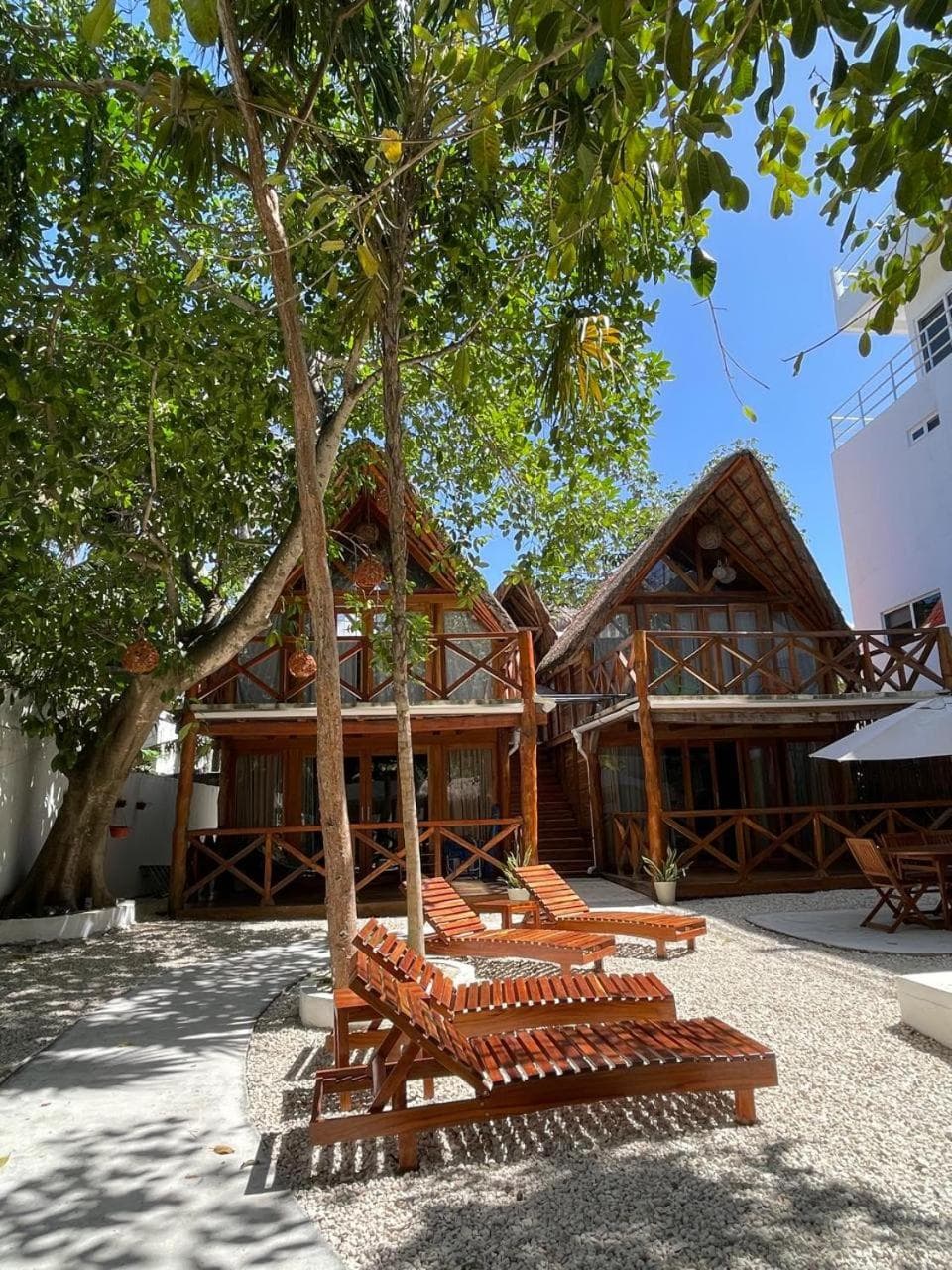 Nido BY puerto morelos