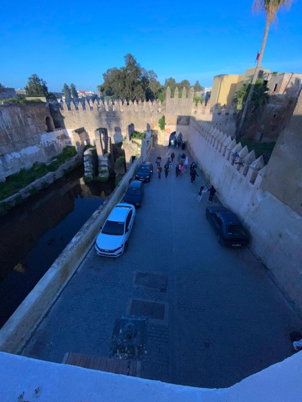 Riad Dalal