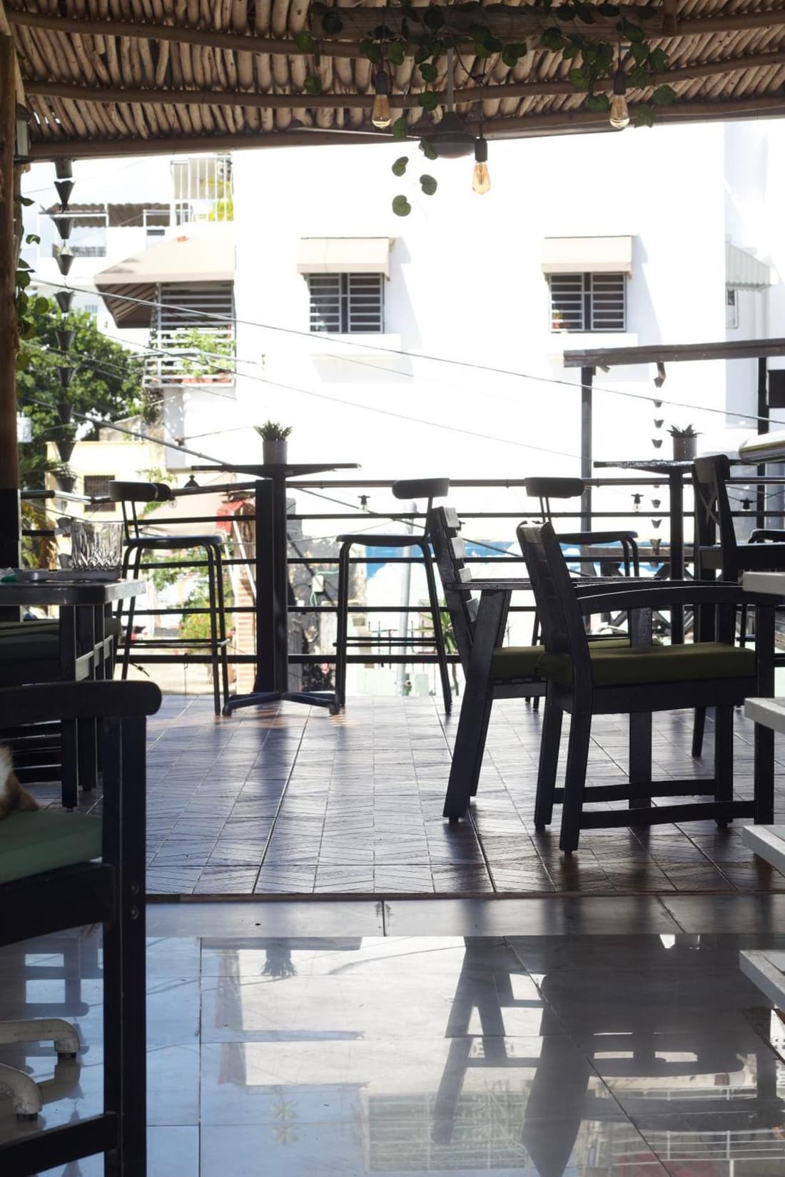 Hostel Gato Colonial