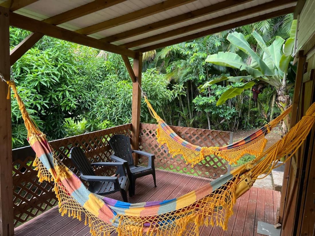 Coconut Studio