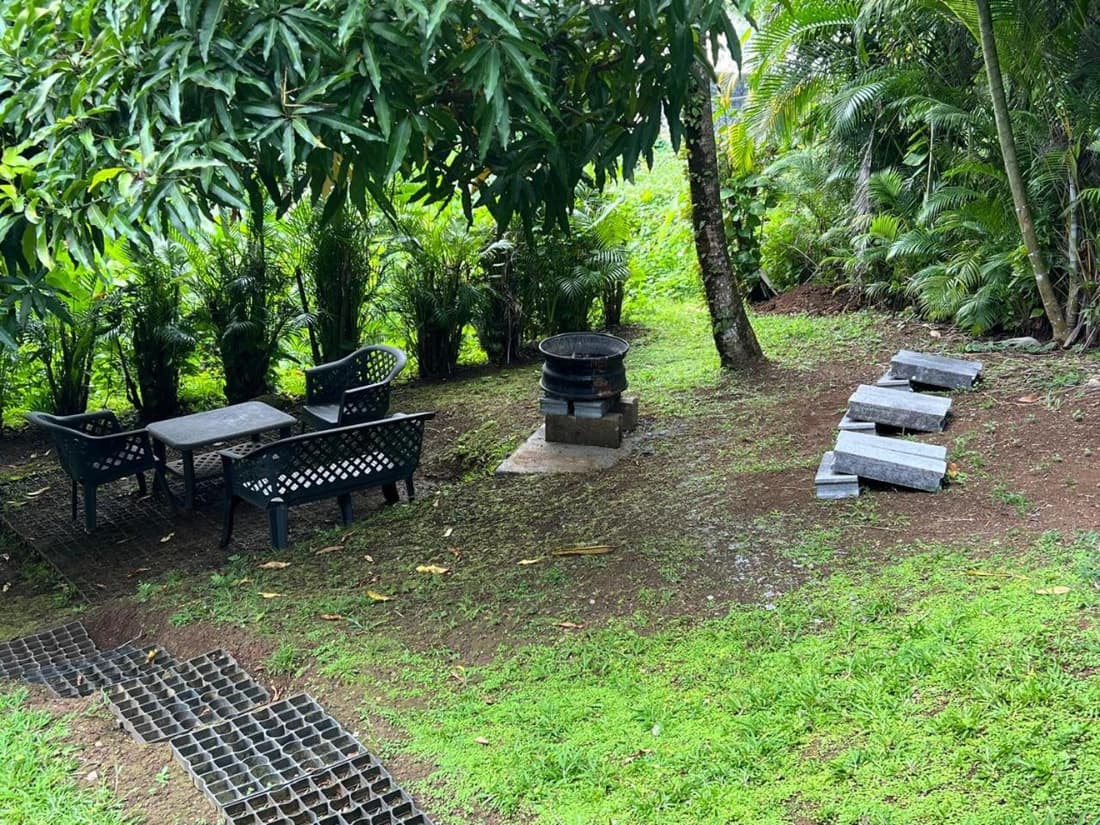 Coconut Studio