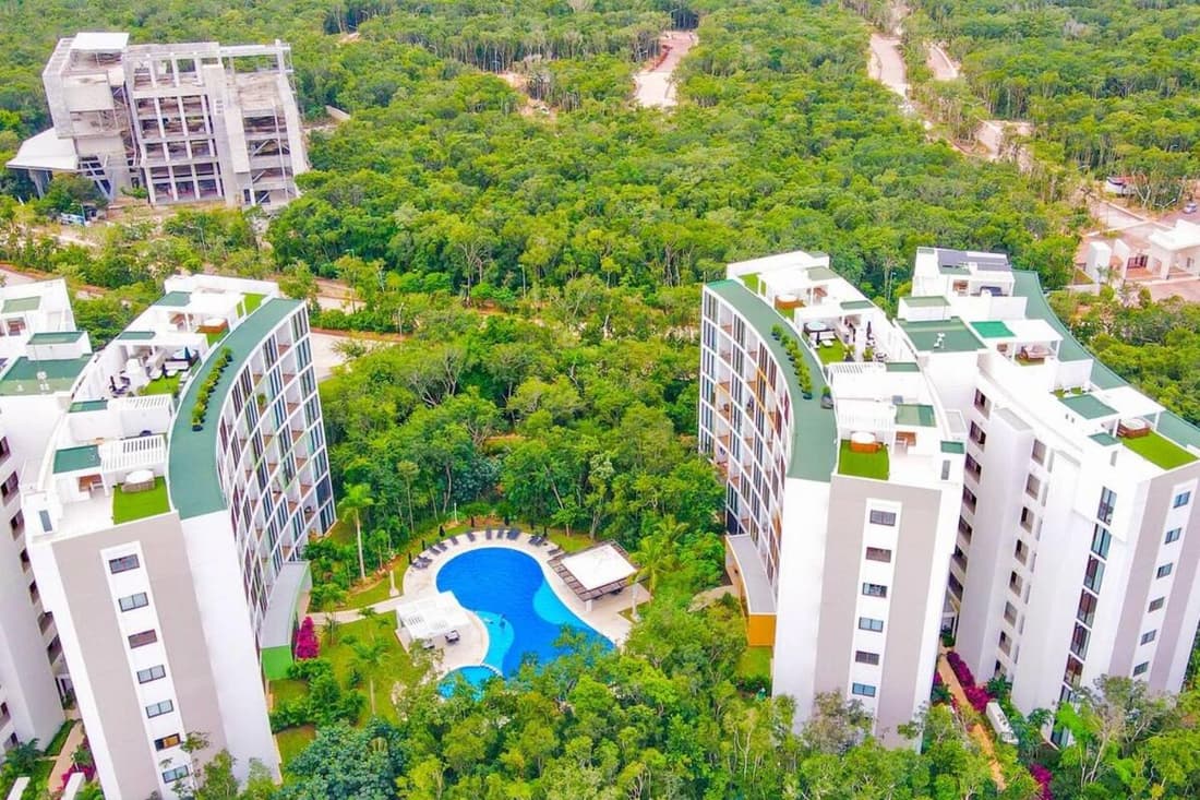 Paradise in a rainforest reserve B 503