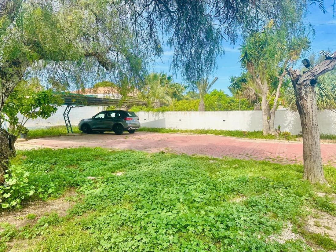 Alicante Garden & BBQ - Estudio con Jardín, Parking Privado y Relax Total