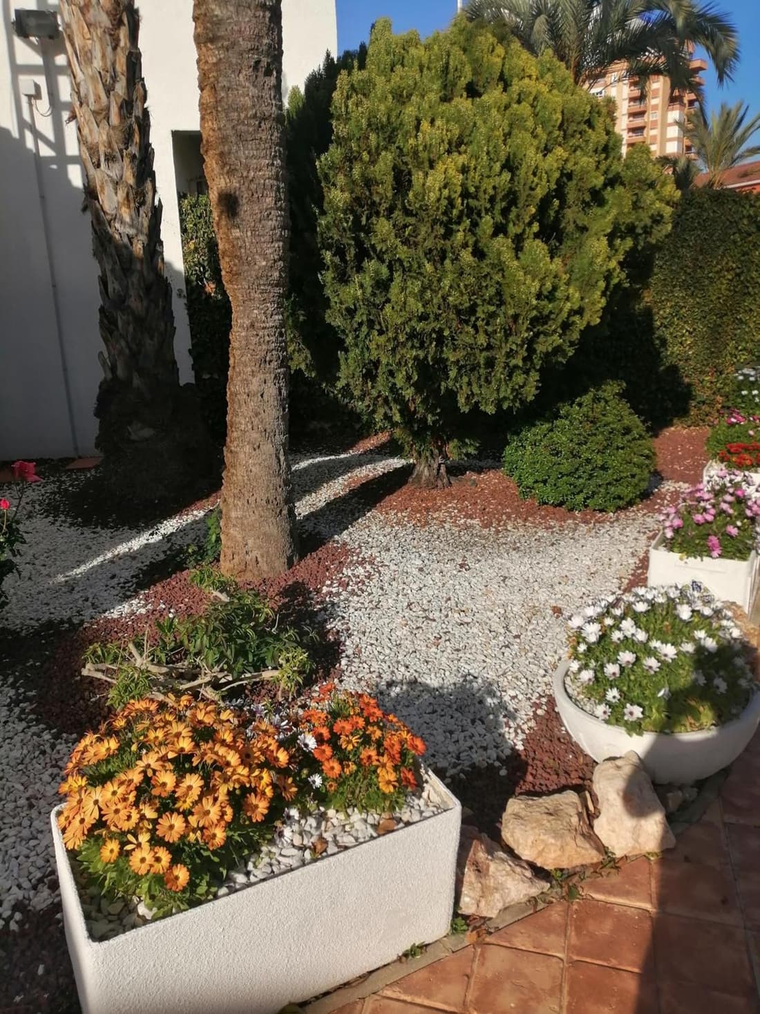 Paradis townhouse