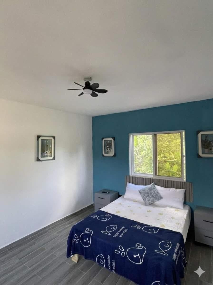 Pet Friendly Xamanai