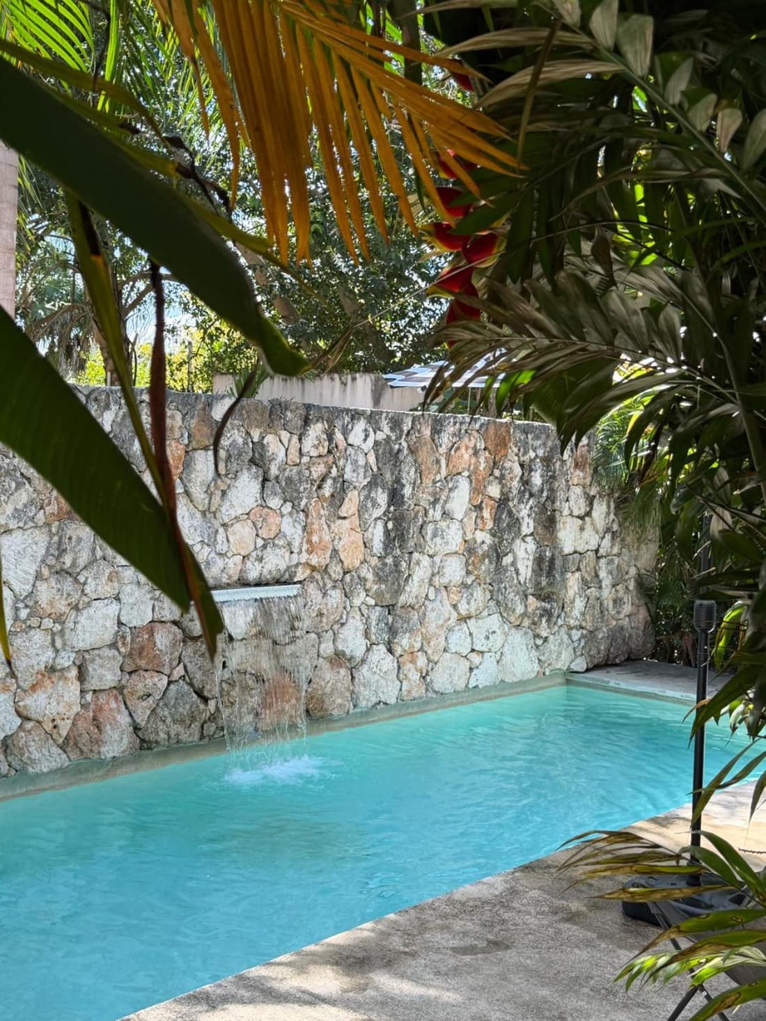 Kam Na Ha #202 - Elegant, newly listed, 2 Bedroom Retreat with Rooftop Oasis and Pool