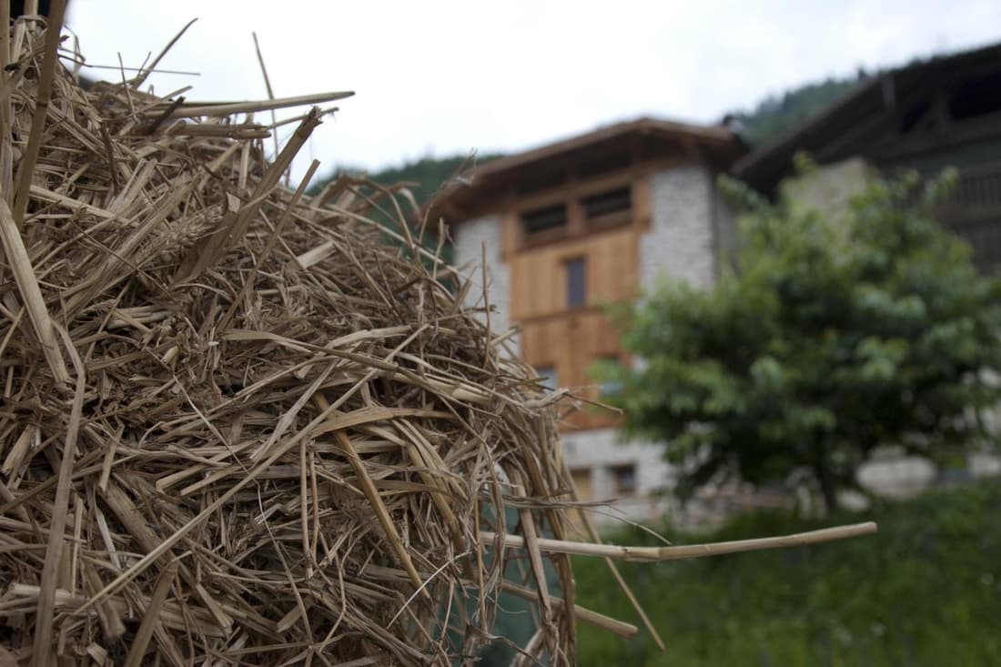 Agricampeggio Ai Gaggi