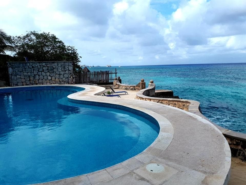 Tito's Paradise