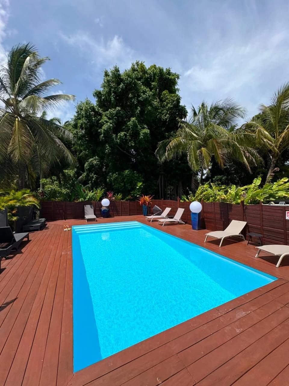 Gite d'Arles Bungalow "L'Oasis"
