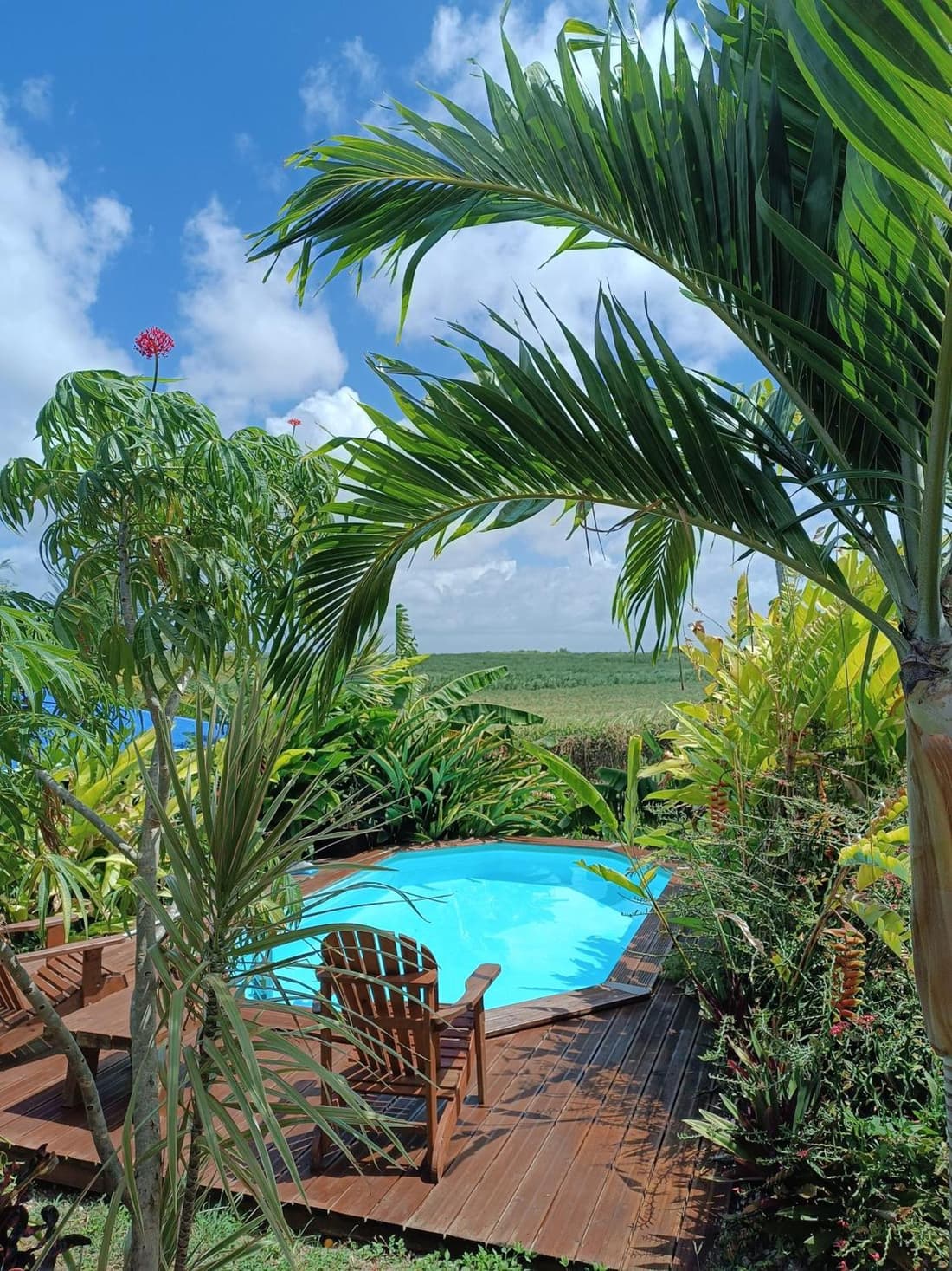 Gites kaz à klemence - Bungalow karapat - jacuzzi privé et piscine partagée au cœur de la nature à Anse-Bertrand