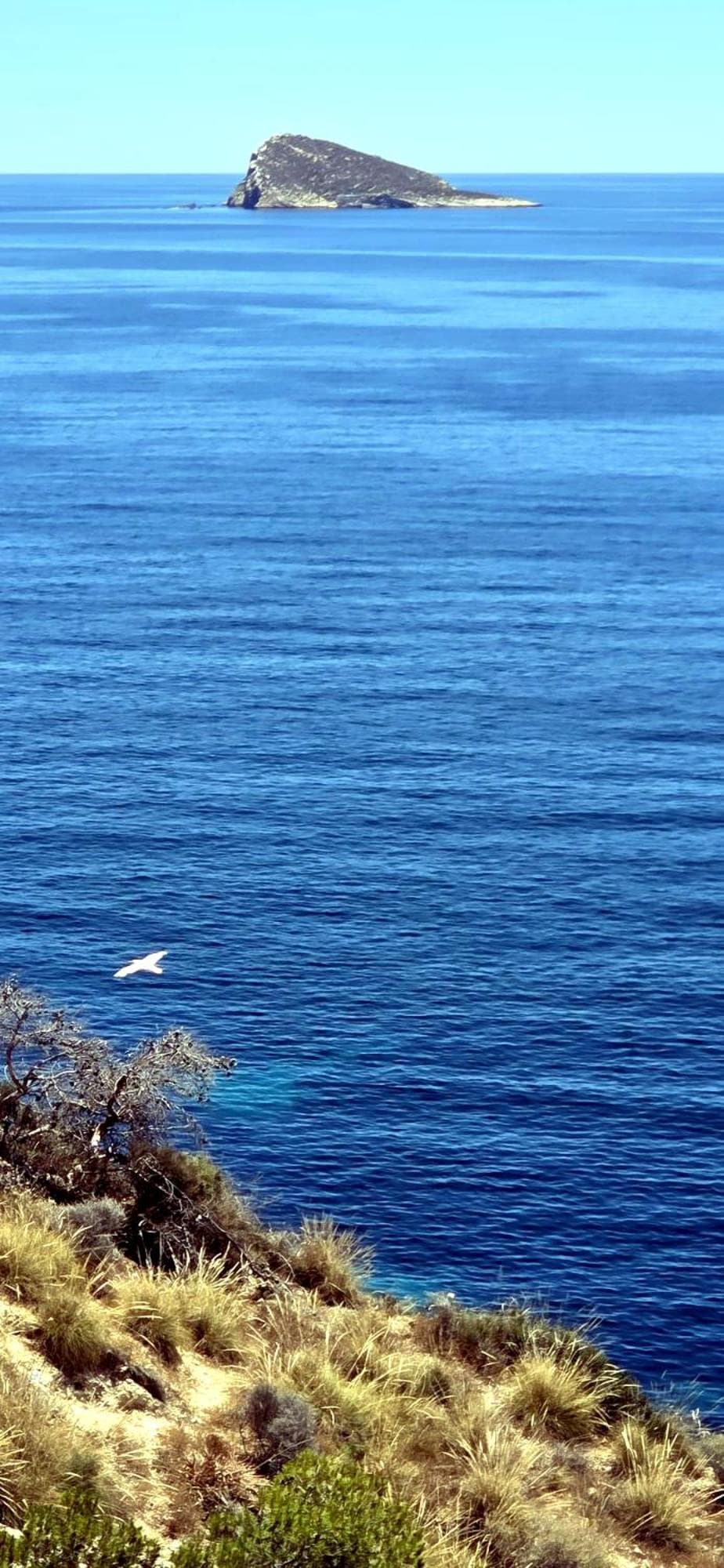 Aguamarina
