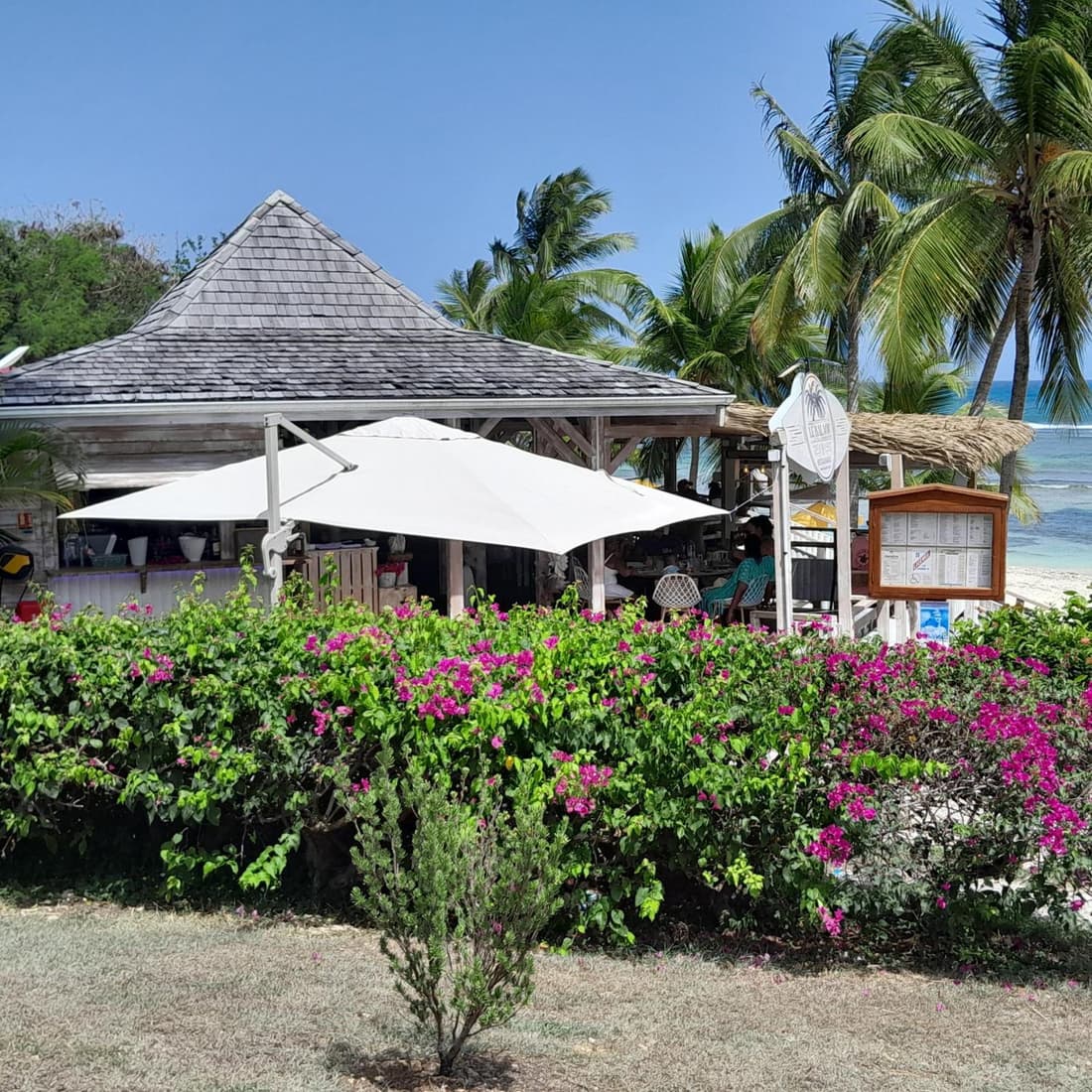 Le Tropical