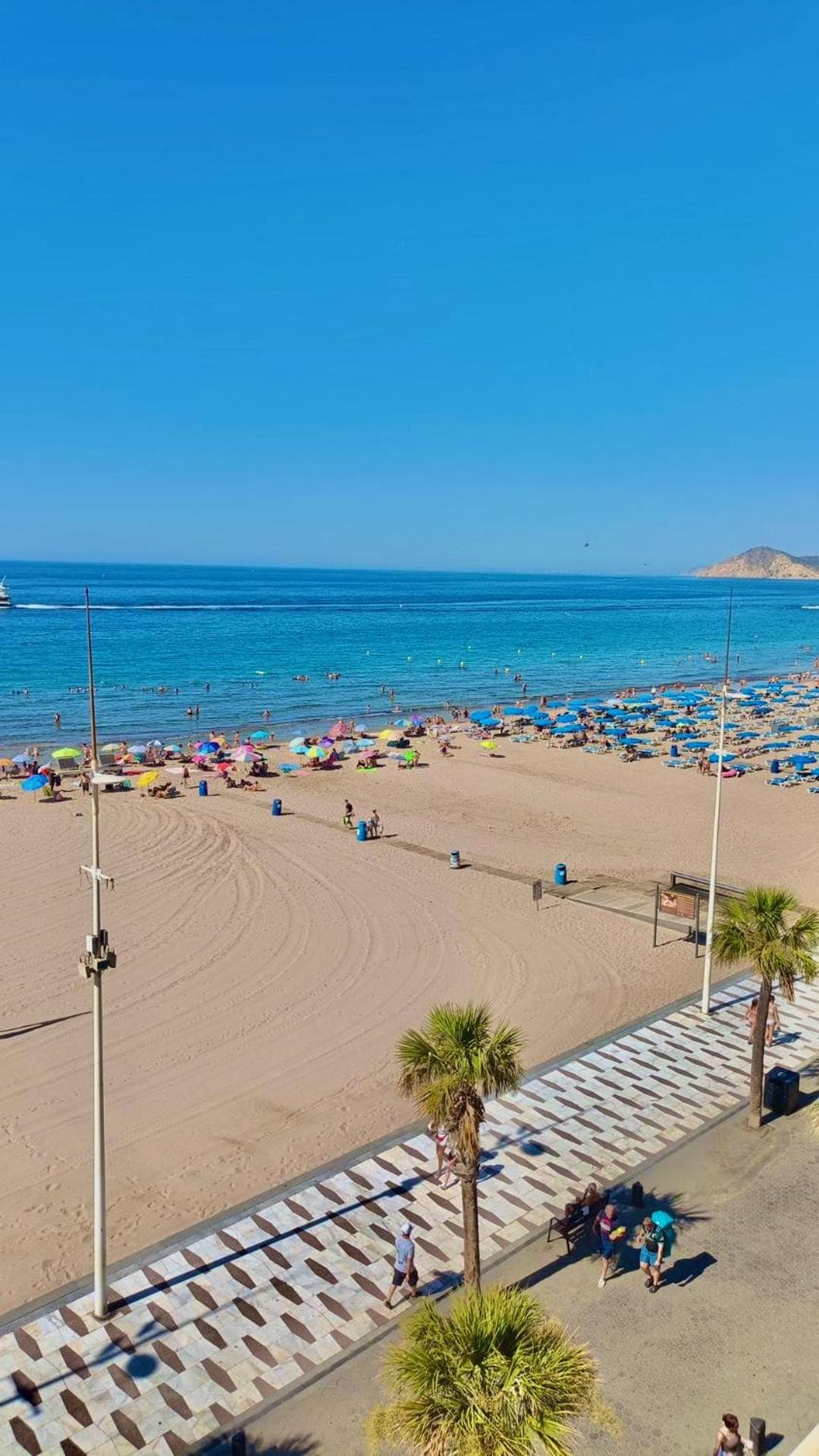 First line Benidorm