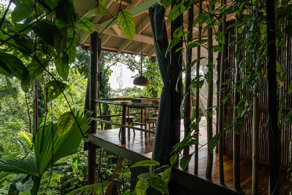La Loma Jungle Lodge & Chocolate Farm