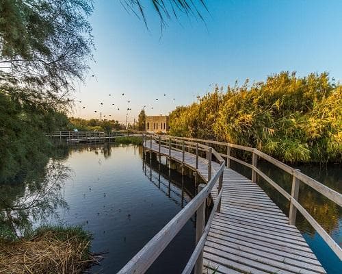 Azraq Eco Lodge