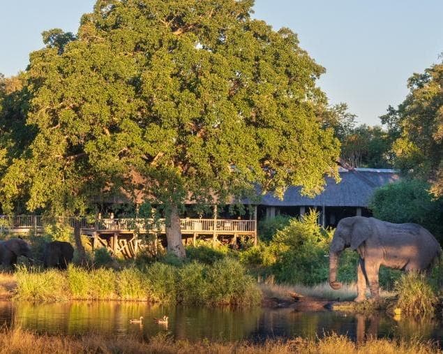 Sabi Sabi Bush Lodge