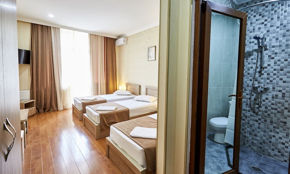Hotel Old Borjomi